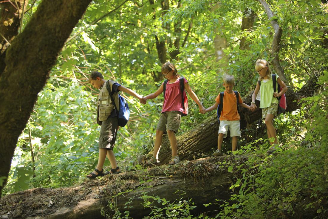 Exploring orlando’s Natural beauty: Parks, Trails, and Outdoor​ Escapes